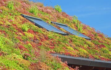 Burton Joyce living roof systems