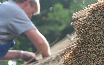 professional Burton Joyce thatchers